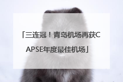 三连冠！青岛机场再获CAPSE年度最佳机场