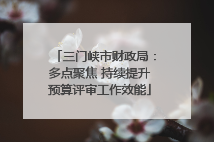 三门峡市财政局：多点聚焦 持续提升预算评审工作效能