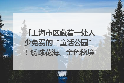 上海市区藏着一处人少免费的“童话公园”！绣球花海、金色秘境……地铁直达→