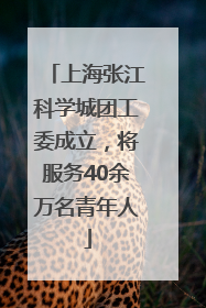 上海张江科学城团工委成立，将服务40余万名青年人