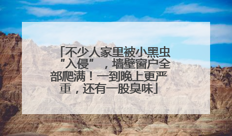 不少人家里被小黑虫“入侵”，墙壁窗户全部爬满！一到晚上更严重，还有一股臭味