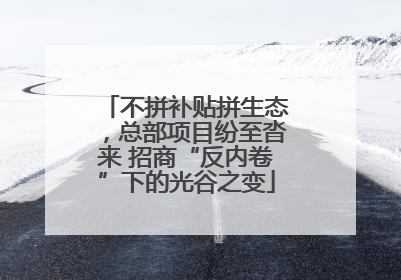 不拼补贴拼生态，总部项目纷至沓来 招商“反内卷”下的光谷之变