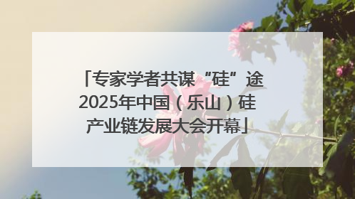 专家学者共谋“硅”途 2025年中国（乐山）硅产业链发展大会开幕