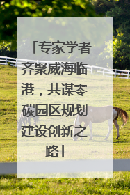 专家学者齐聚威海临港，共谋零碳园区规划建设创新之路