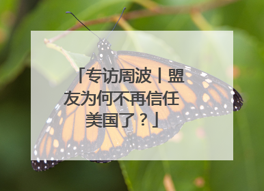 专访周波丨盟友为何不再信任美国了？