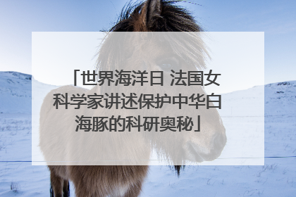 世界海洋日 法国女科学家讲述保护中华白海豚的科研奥秘