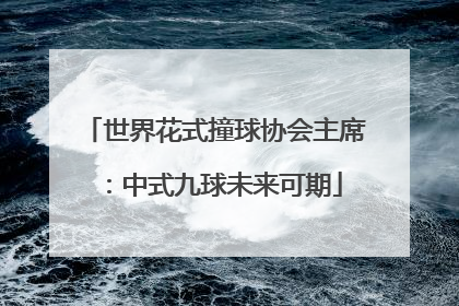 世界花式撞球协会主席：中式九球未来可期