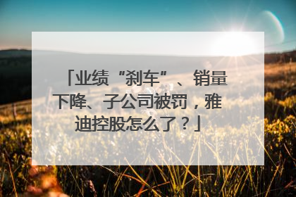业绩“刹车”、销量下降、子公司被罚，雅迪控股怎么了？