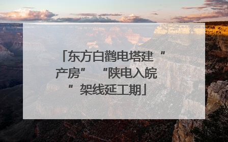 东方白鹳电塔建“产房” “陕电入皖”架线延工期