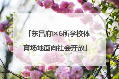 东昌府区6所学校体育场地面向社会开放