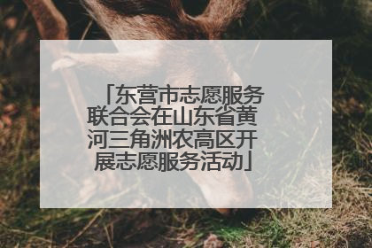 东营市志愿服务联合会在山东省黄河三角洲农高区开展志愿服务活动
