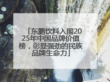 东鹏饮料入围2025年中国品牌价值榜，彰显强劲的民族品牌生命力
