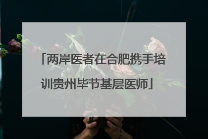 两岸医者在合肥携手培训贵州毕节基层医师