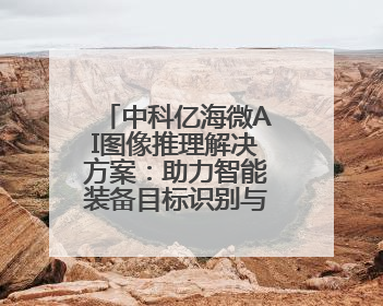 中科亿海微AI图像推理解决方案：助力智能装备目标识别与跟踪