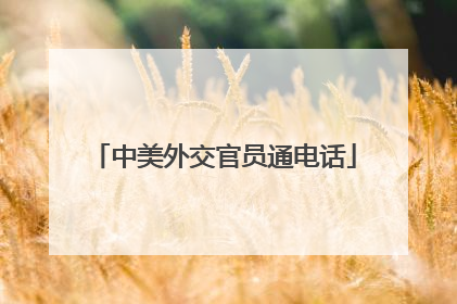 中美外交官员通电话