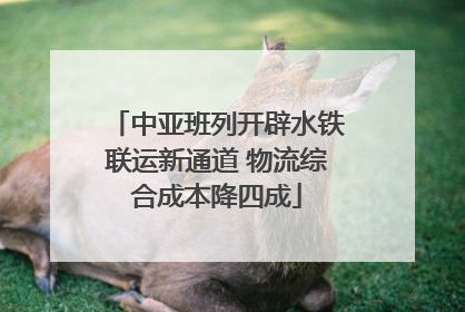 中亚班列开辟水铁联运新通道 物流综合成本降四成