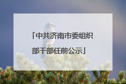 中共济南市委组织部干部任前公示