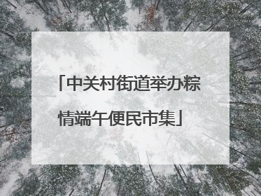 中关村街道举办粽情端午便民市集