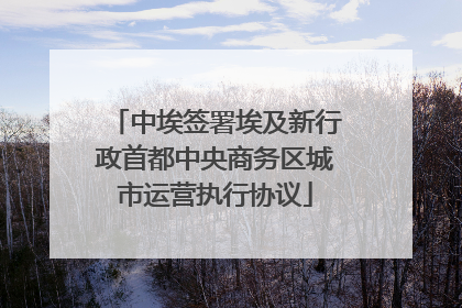 中埃签署埃及新行政首都中央商务区城市运营执行协议
