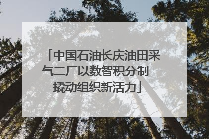 中国石油长庆油田采气二厂以数智积分制 撬动组织新活力