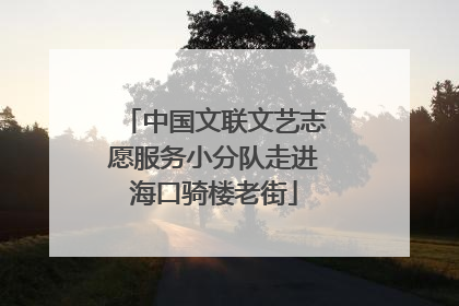 中国文联文艺志愿服务小分队走进海口骑楼老街