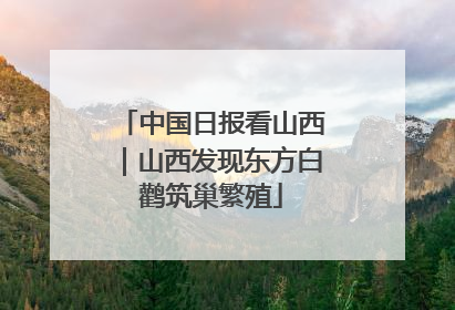 中国日报看山西｜山西发现东方白鹳筑巢繁殖