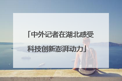 中外记者在湖北感受科技创新澎湃动力