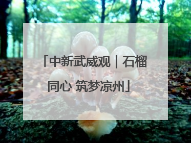中新武威观｜石榴同心 筑梦凉州