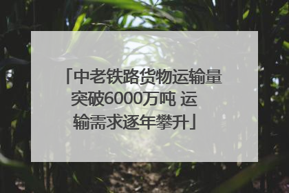 中老铁路货物运输量突破6000万吨 运输需求逐年攀升