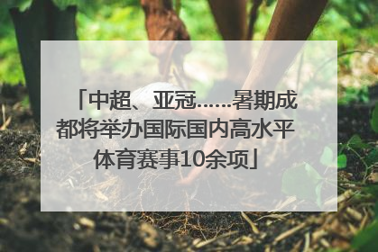 中超、亚冠……暑期成都将举办国际国内高水平体育赛事10余项