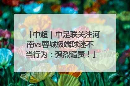 中超｜中足联关注河南vs蓉城极端球迷不当行为：强烈谴责！