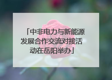 中非电力与新能源发展合作交流对接活动在岳阳举办