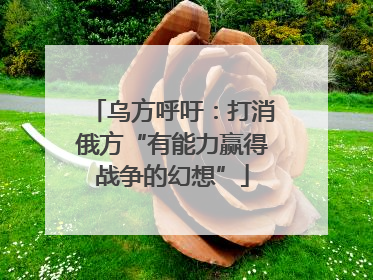 乌方呼吁：打消俄方“有能力赢得战争的幻想”