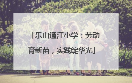 乐山通江小学：劳动育新苗，实践绽华光