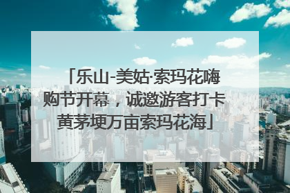 乐山-美姑·索玛花嗨购节开幕，诚邀游客打卡黄茅埂万亩索玛花海
