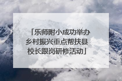 乐师附小成功举办乡村振兴重点帮扶县校长跟岗研修活动