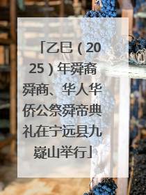 乙巳（2025）年舜裔舜商、华人华侨公祭舜帝典礼在宁远县九嶷山举行