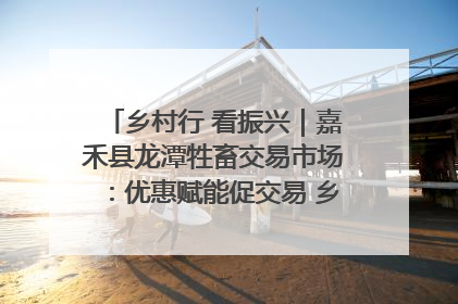 乡村行 看振兴｜嘉禾县龙潭牲畜交易市场：优惠赋能促交易 乡村振兴添动能