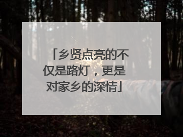 乡贤点亮的不仅是路灯，更是对家乡的深情