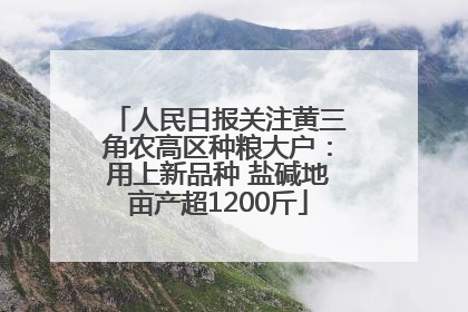 人民日报关注黄三角农高区种粮大户：用上新品种 盐碱地亩产超1200斤