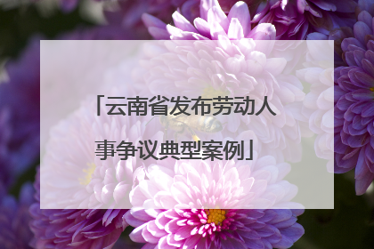 云南省发布劳动人事争议典型案例