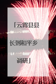 云霄县县长到和平乡调研