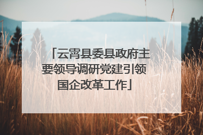 云霄县委县政府主要领导调研党建引领国企改革工作