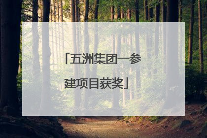 五洲集团一参建项目获奖