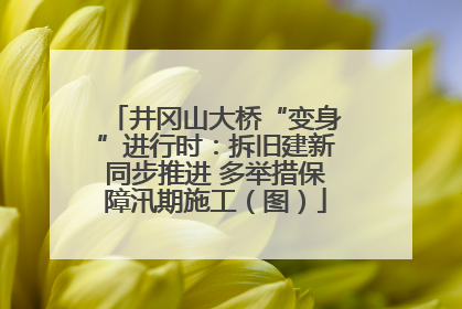 井冈山大桥“变身”进行时：拆旧建新同步推进 多举措保障汛期施工（图）
