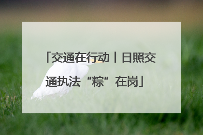 交通在行动丨日照交通执法“粽”在岗
