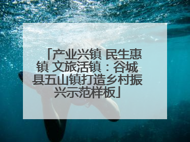 产业兴镇 民生惠镇 文旅活镇：谷城县五山镇打造乡村振兴示范样板
