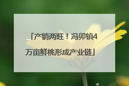 产销两旺！冯卯镇4万亩鲜桃形成产业链