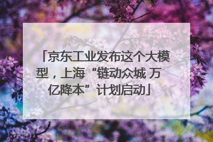 京东工业发布这个大模型，上海“链动众城 万亿降本”计划启动