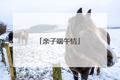 亲子端午情